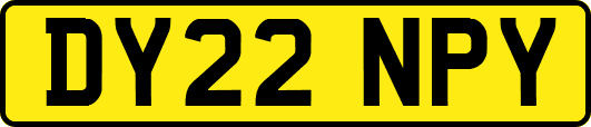 DY22NPY