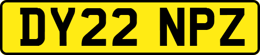 DY22NPZ