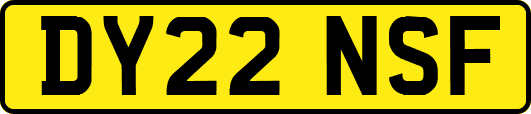 DY22NSF
