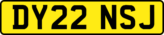 DY22NSJ