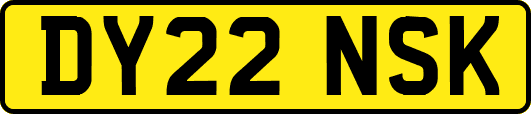 DY22NSK