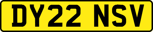 DY22NSV