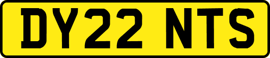 DY22NTS