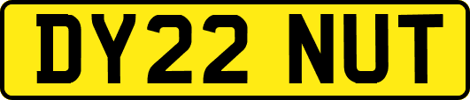 DY22NUT