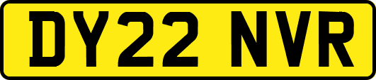 DY22NVR