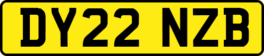 DY22NZB