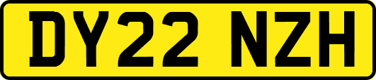 DY22NZH