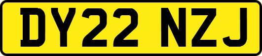 DY22NZJ