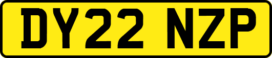 DY22NZP