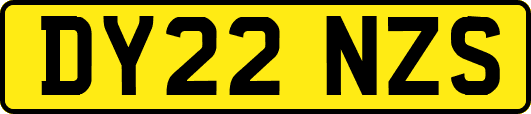 DY22NZS