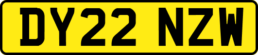 DY22NZW