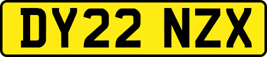 DY22NZX