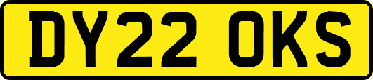 DY22OKS