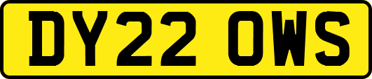 DY22OWS