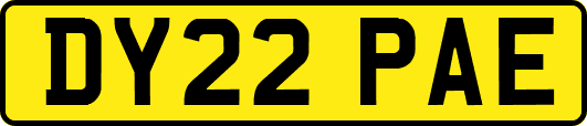 DY22PAE