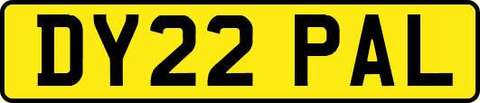 DY22PAL