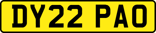 DY22PAO