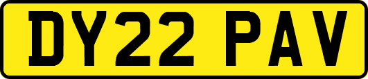 DY22PAV