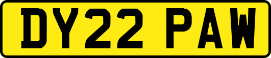 DY22PAW
