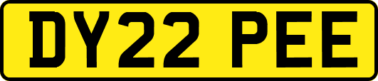 DY22PEE