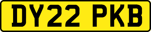 DY22PKB