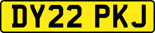 DY22PKJ