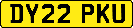 DY22PKU