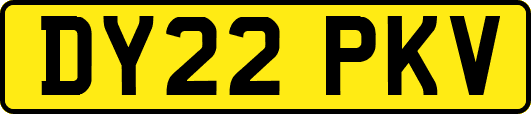 DY22PKV