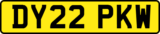 DY22PKW