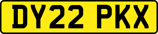 DY22PKX