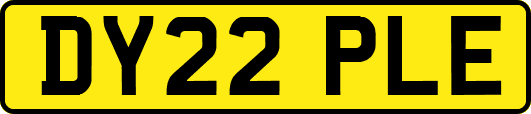 DY22PLE