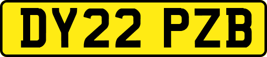 DY22PZB