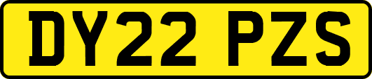 DY22PZS