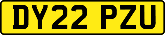 DY22PZU