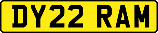 DY22RAM