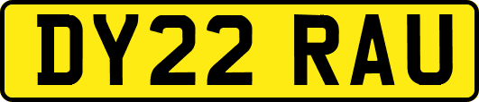 DY22RAU