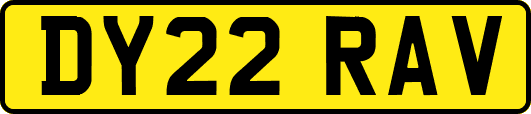 DY22RAV