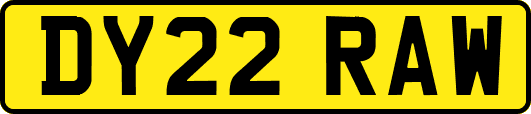 DY22RAW