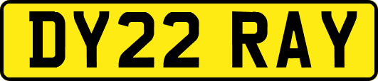 DY22RAY