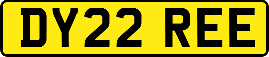 DY22REE