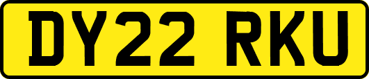 DY22RKU