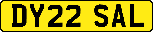 DY22SAL