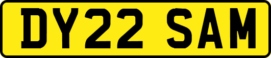 DY22SAM