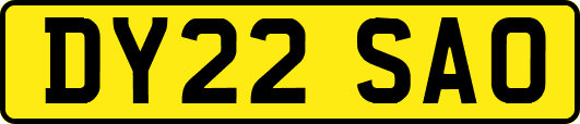 DY22SAO