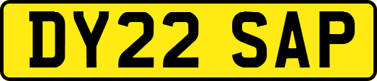 DY22SAP