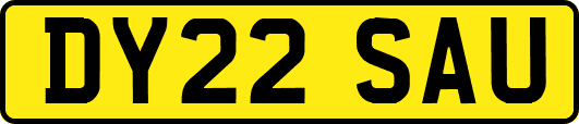 DY22SAU
