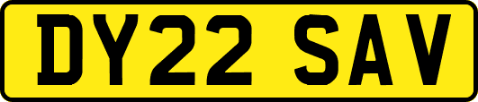 DY22SAV