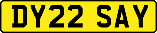 DY22SAY
