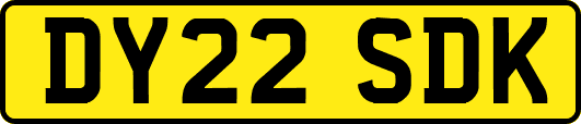 DY22SDK
