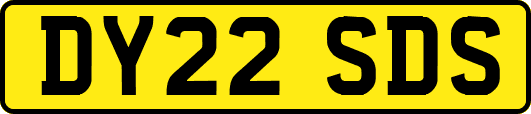 DY22SDS